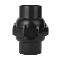 PVC True Union Swing Check Valve